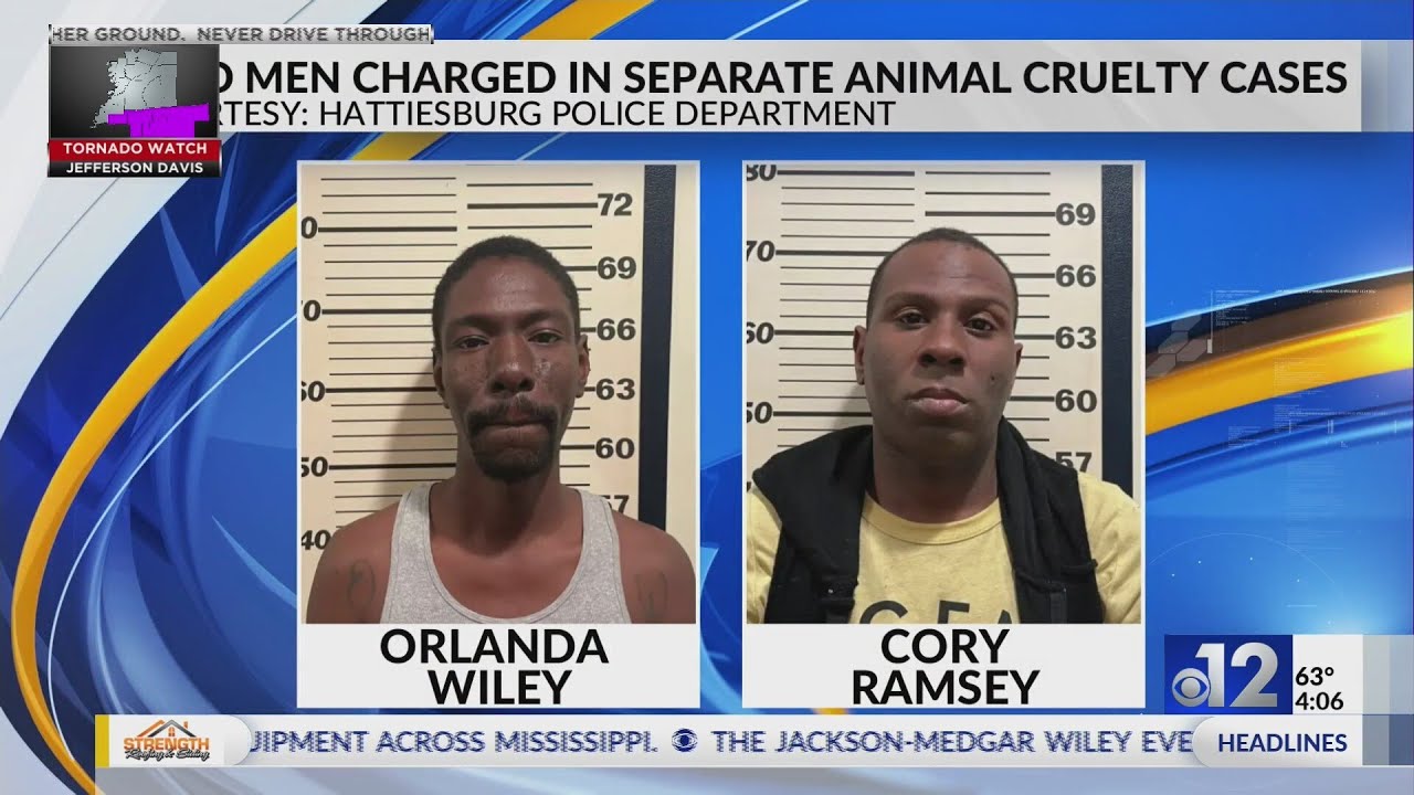 Two Hattiesburg men charged in separate animal cruelty cases - YouTube