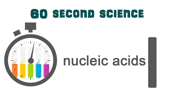 60 Second Science || Ep.1 [Nucleic Acids]