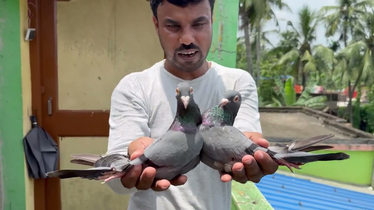 Amar Ghorer kichu dhari kalo madras Payra shok koralam # 9477367779