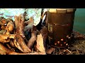 Hot Tipi Tent shelter build - Camping for a night