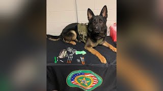 K9 Bane's death sparks outrage in Greene County, two charged