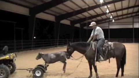 How I rope the dummy- aaron jensen