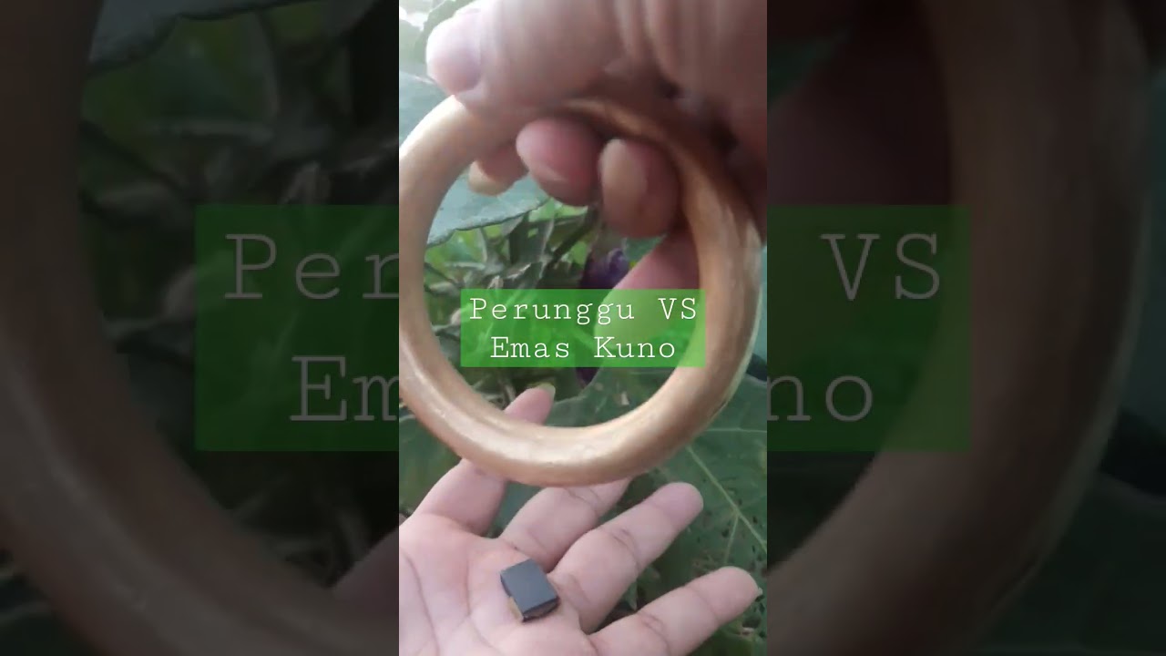 Perunggu VS Emas Kuno 