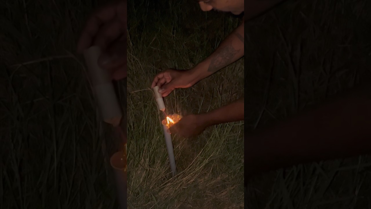 COLOR SALUTE SHELL |EXTREMELY LOUD AND BRIGHT