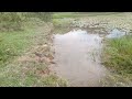 Pescaria de traíra no Frog
