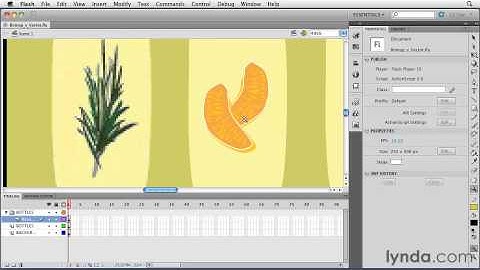 0108 Understanding bitmap and vector graphics