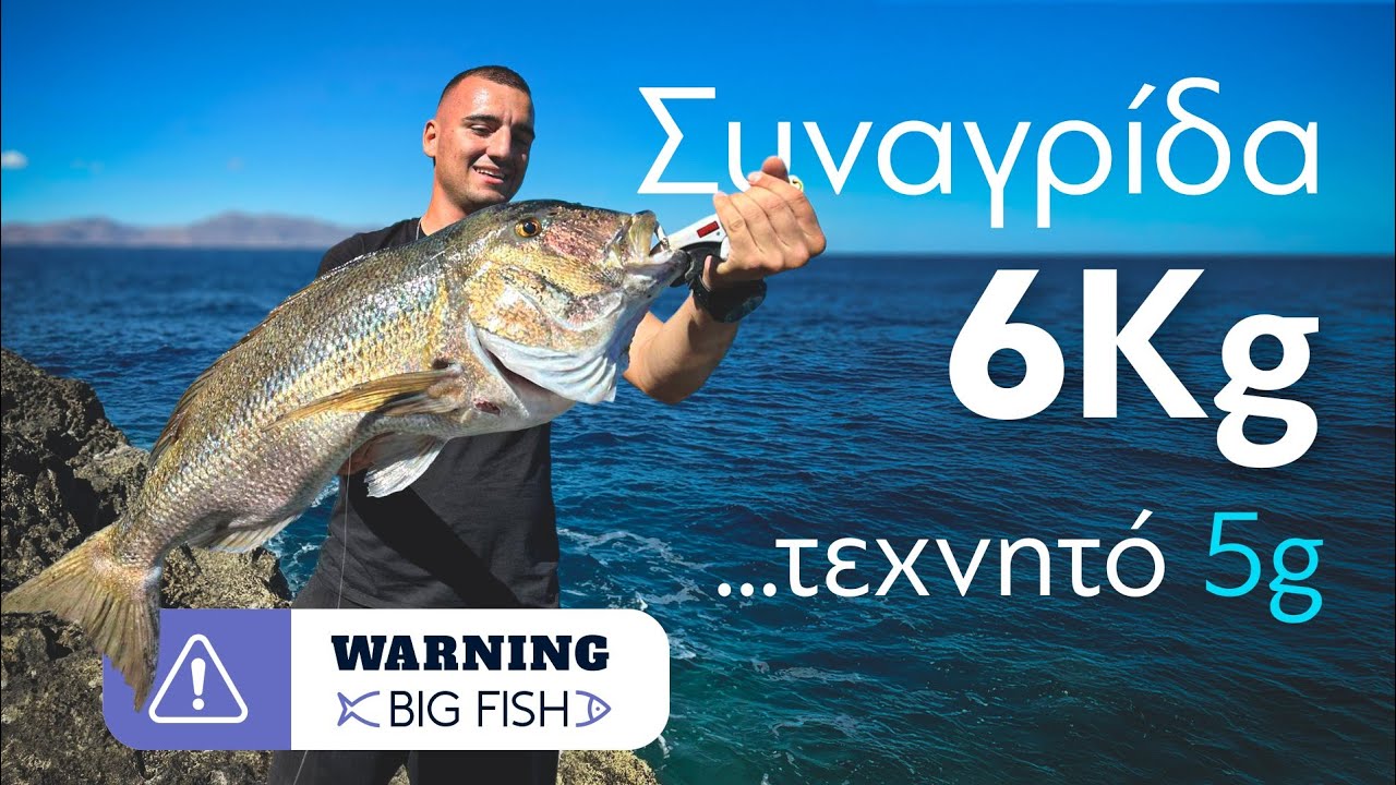 ΣΥΝΑΓΡΙΔΑ ΕΞΙ ΚΙΛΑ με τεχνητό ΠΕΝΤΕ ΓΡΑΜΜΑΡΙΑ