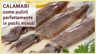 CALAMARI : come pulirli perfettamente in pochi minuti