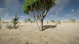 GHA Architects - Desert with Audio Study