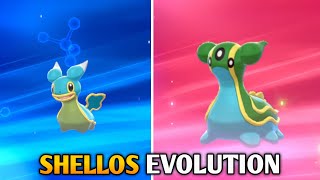 How To Evolve Shellos Into Gastrodon In Pokemon Sword & Shield | Galar Pokedex