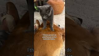 He Started Joining In