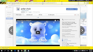 HƯỚNG DẪN THAY ĐỔI THEMS TRÊN TRÌNH DUYỆT CỐC CỐC.