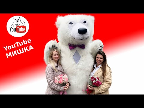 Белый медведь на день рождения 🥳 Пушистый гость на работе
