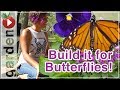 Building A Butterfly Garden - With Drake White The Butterfly Lady - Part 1 Building A Butterfly Garden - With Drake White The Butterfly Lady - Part 1