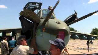 Ukraine army, new