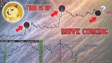 Komt er een Bitcoin- en Doge-crash aan of een berenval voor een rally van 100.000 dollar!? Waarom...