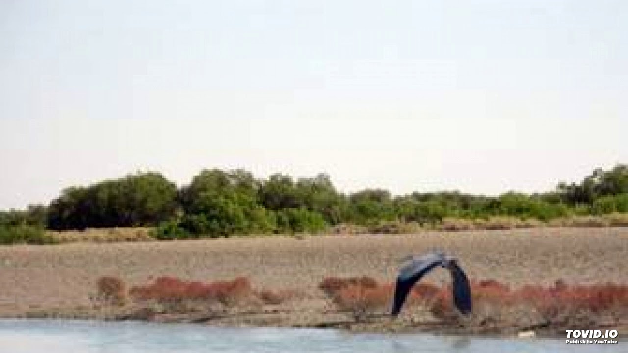 علي محبوب برو ظالم كه كارت جفاهن