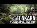 2017年7月 テンカラ釣り＆鹿との遭遇
