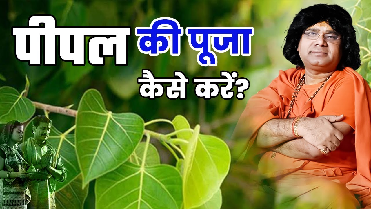 पीपल की पूजा कैसे करें ? शनिवार के दिन ही पीपल की पूजा क्यों की जाती है ?  Shri Kaushik Ji Maharaj