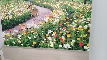 Mẫu tranh 3d dán cầu thang phong cảnh mùa xuân 10 cái tết vẫn còn xuân