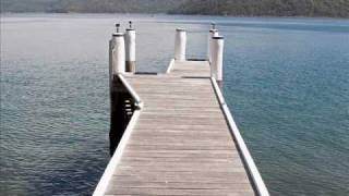 alegria_0001.wmv