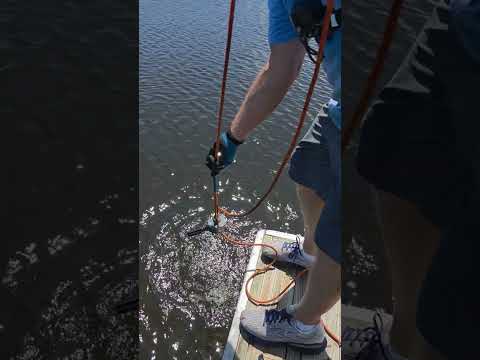 MAGNET FISHING AND CLEANING THE WATERWAYS #magnetfishing #shortsfeed #fishing