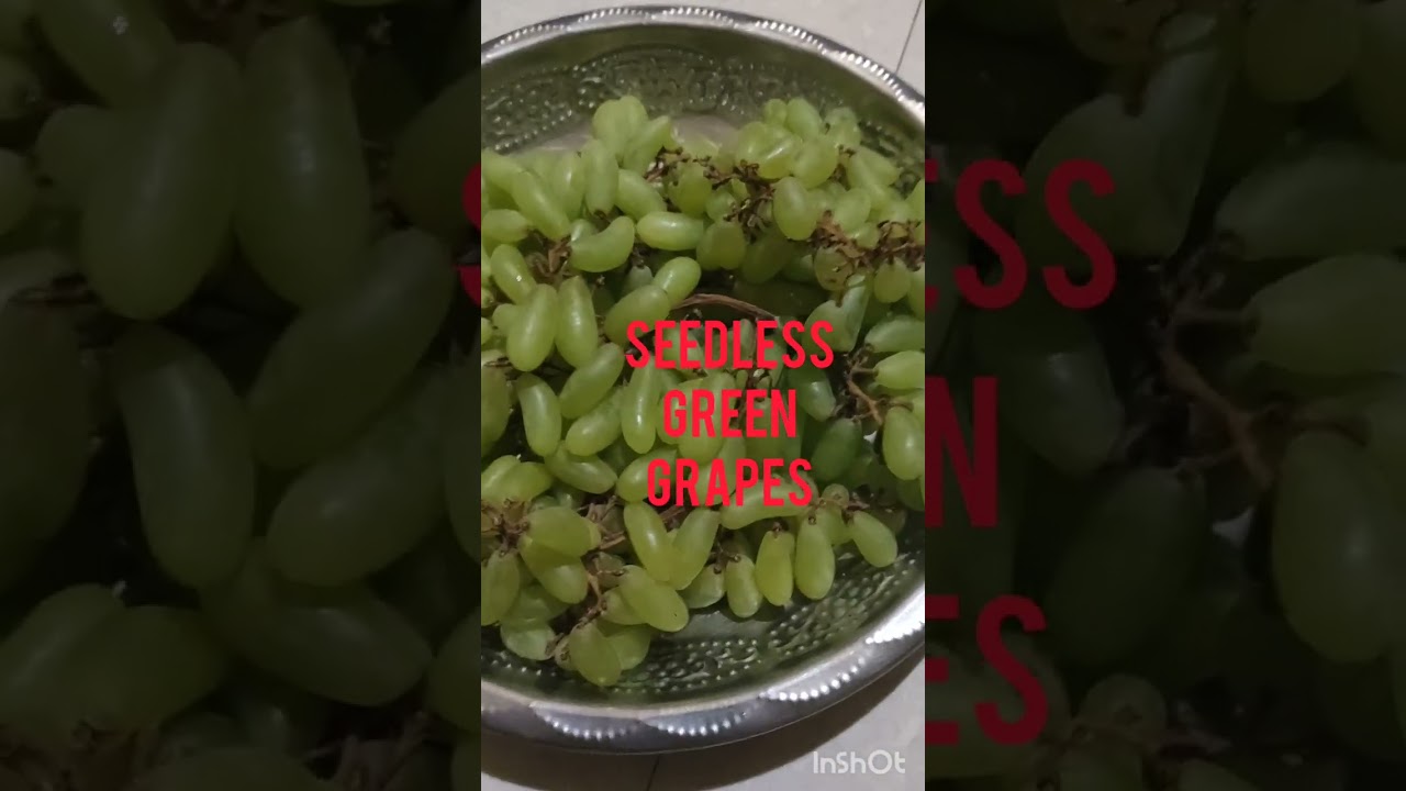 Seedless green grapes//kids favorite//seedless grapes//green grapes