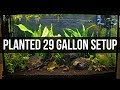 Planted 29 Gallon Setup