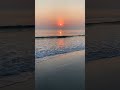 Скрыт ли секрет жизни в крошечном комаре?