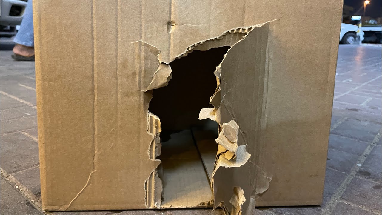 Cat 🐱 Ka Home FD No.05