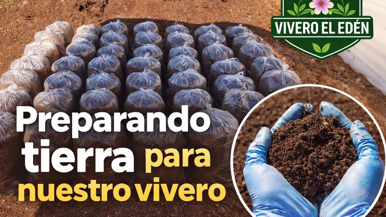 Preparando tierra para nuestro vivero 🍃
