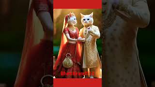 Ai Cats  aesthetic song 202lofi s love  trending