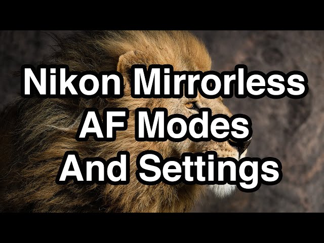 Nikon Mirrorless AF Modes And Settings class=