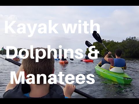 orlando florida KAYAK WITH DOLPHINS & MANATEES NEAR ORLANDO