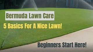 Bermuda Lawn Care  5 Basics  For A Nice Green Lawn  Beginners Start Here!