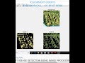 Plant Leaf Disease Detection Using Image Processing in MATLAB
