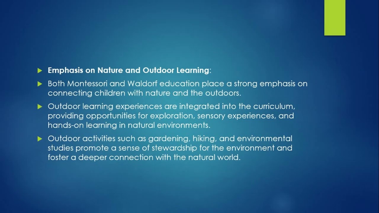 Exploring alternative educational models such as Montessori or Waldorf