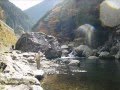 YAYAあの時代を忘れない