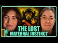 The lost maternal instinct  erica komisar  maiden mother matriarch 50