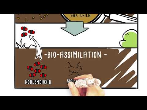 Video: Ist biologischer Abbau dasselbe wie Zersetzung?