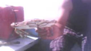 MOV0225A.3gp