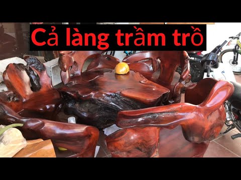 Video Cả làng trầm trồ với bộ bàn ghế gốc cây gỗ hương Gia... - youtube