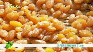 草地狀元-過年好彩頭 開運吉祥菜搶先看 (20180122播出)