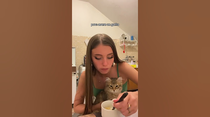Com’è Avere Un Gatto?