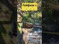 Сгорела зефирка