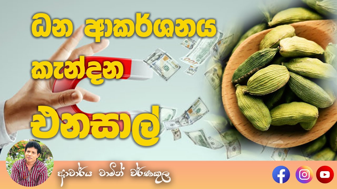 Money Miracle with Cardamom | ධන ආකර්ශනය කැන්දන එනසාල් | Dr.Chamin Warnakula