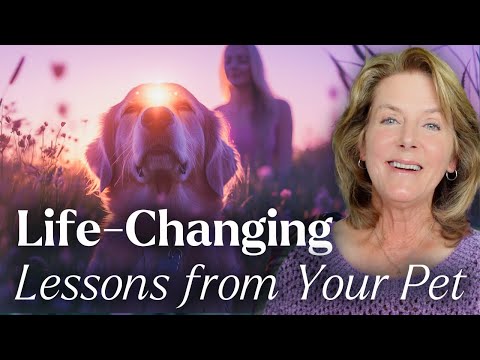 What is Your Pet Teaching You? Soul Lessons in Action | LIVE with Tami Hendrix