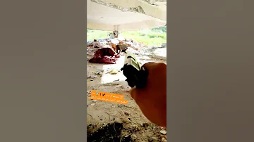 العثور على أكل لحوم ال بشر 