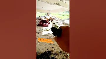 العثور على أكل لحوم ال بشر 