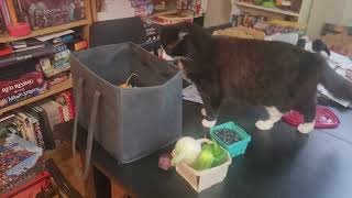 Unboxing this week's farm share! 7/31/2025 | Community Supported Agriculture